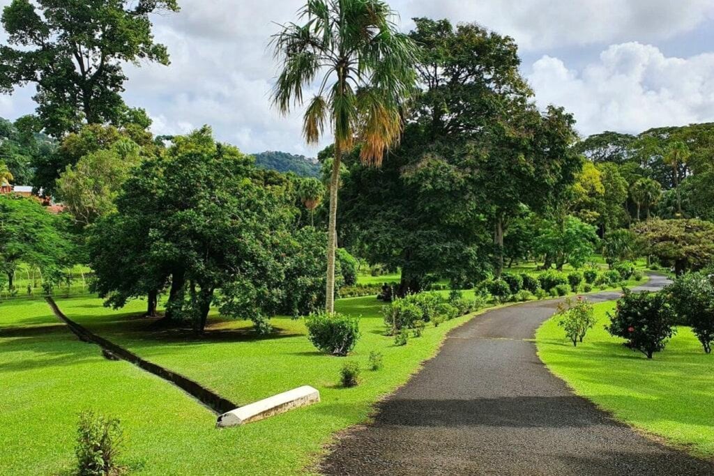 Botanical Gardens / St. Vincent