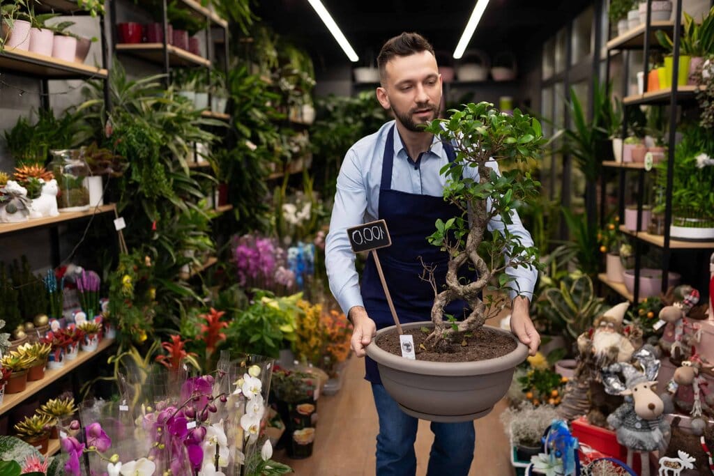 Potted Plants For Narrow Containers- Boutique Manager Carries A Bonsai In A Pot