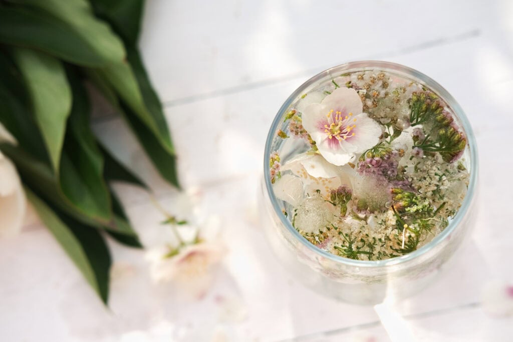 botanical infusion