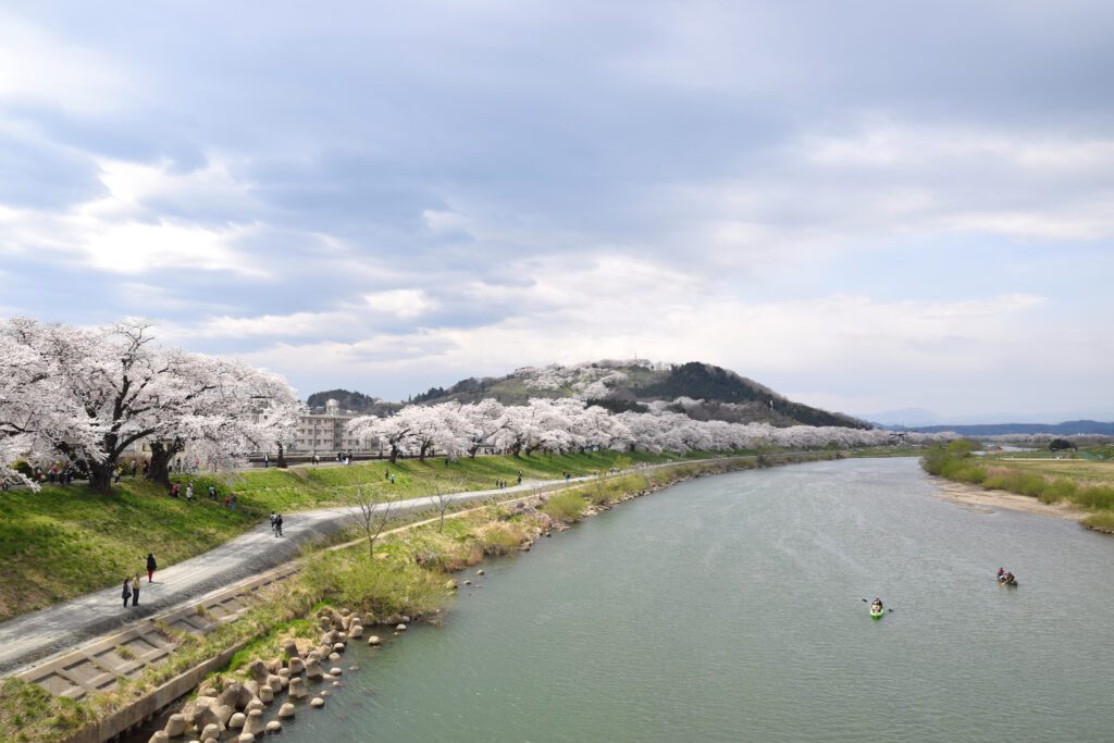 仙台的櫻花祭 Shiroishi River