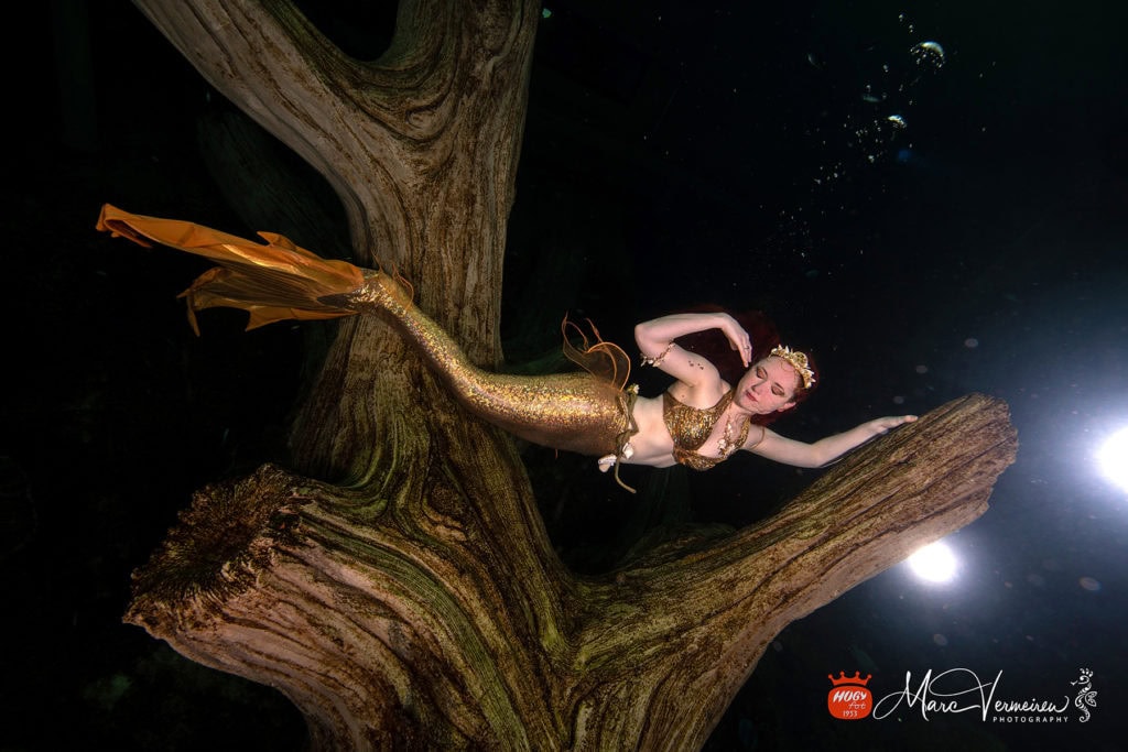 photos de sirène 2018, sirène, mermaid, sirène professionnelle, tail, professional mermaid, galatée la sirène, Todi aquarium