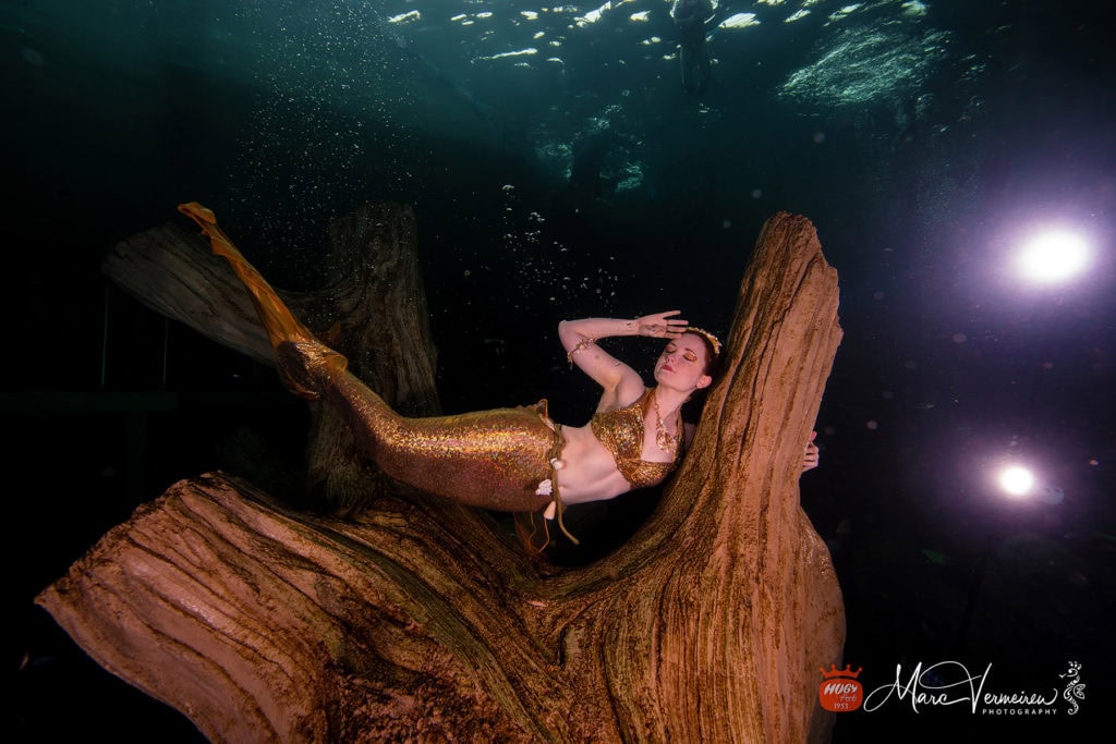 photos de sirène 2018, sirène, mermaid, sirène professionnelle, tail, professional mermaid, galatée la sirène, Todi aquarium