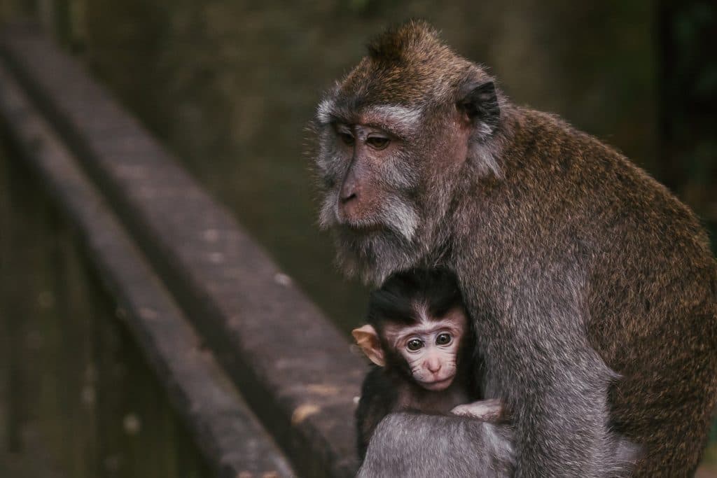 Nature’s Genetic Arms Race