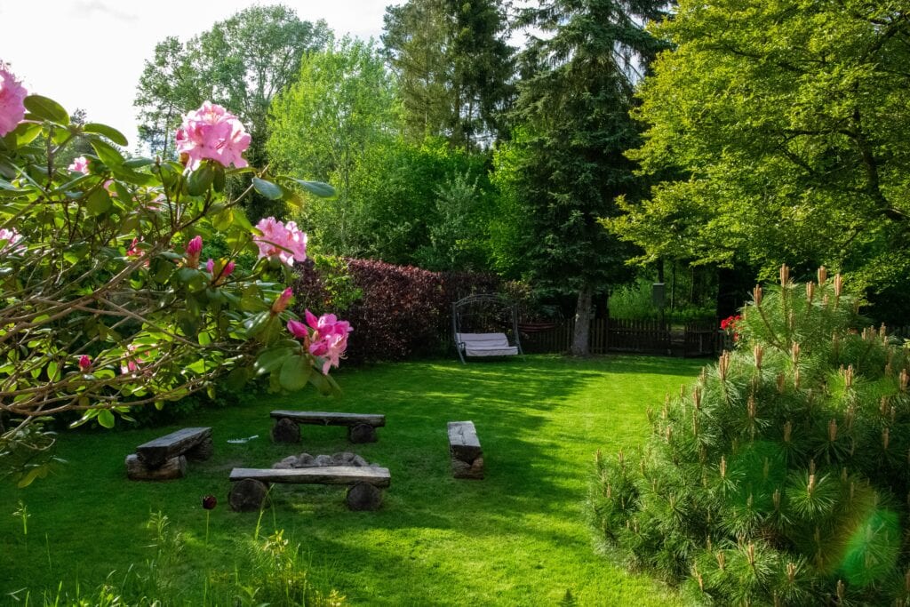 Top 20 Small Backyard Landscaping Ideas in 2025 (Beautiful & Budget-Friendly)