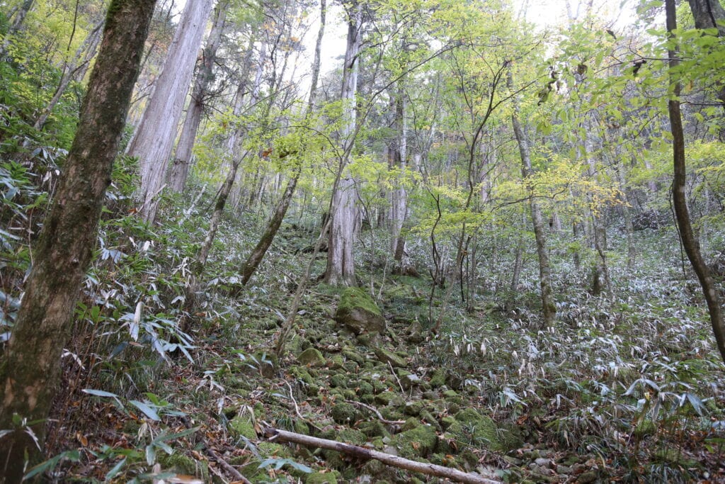 GETALS uses the finest cypress from the Tono region of Gifu Prefecture.