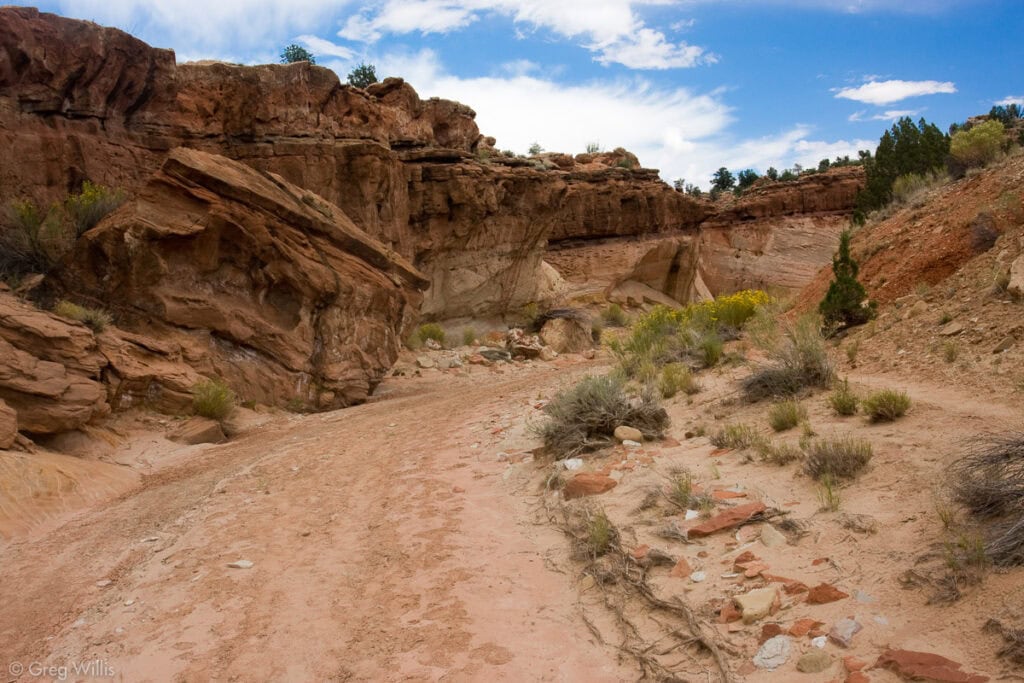 Gully near Harris Wash