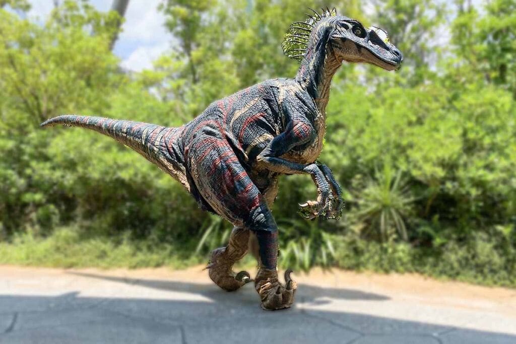 Carnivorous dinosaur