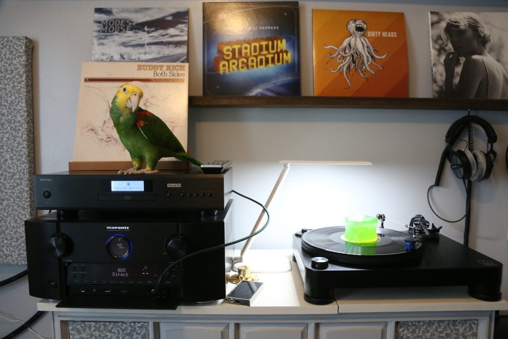 hifi chicken