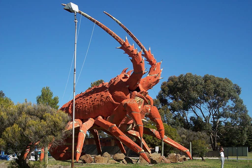 Larry The Lobster Kingston South Australia