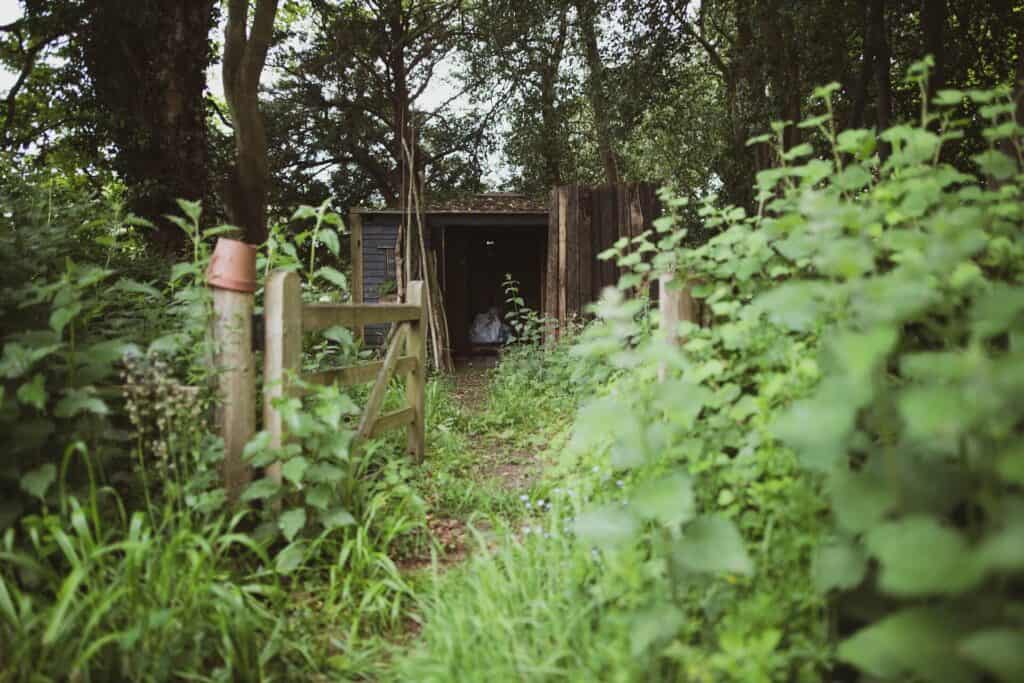 Steps To Deal With Your Overgrown Garden