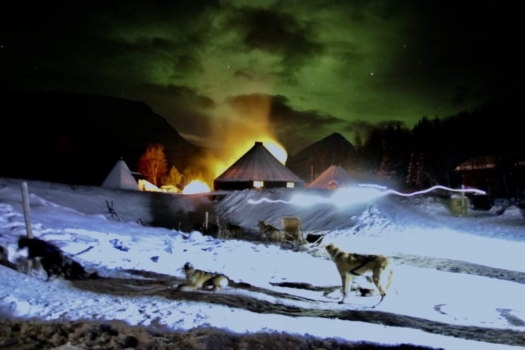Husky Hundeschlittenfahrt unter Nordlichtern 