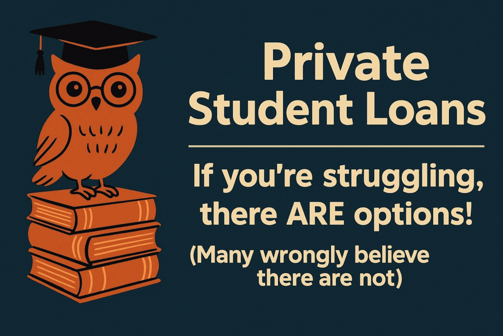 An illustrated owl wearing a graduation cap stands on a stack of books beside text about private student loan options.