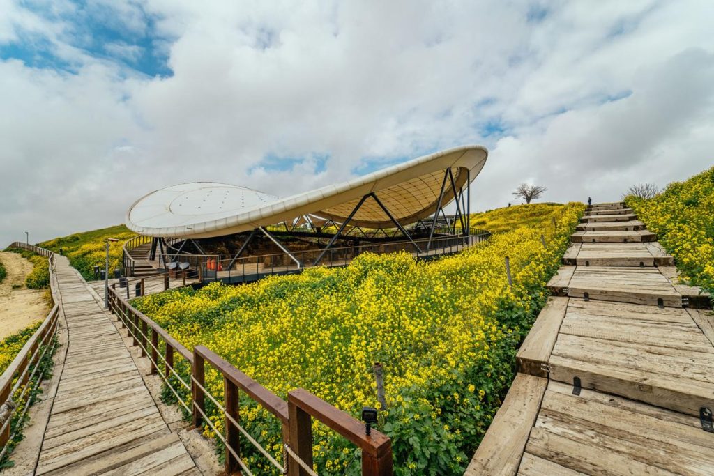 Göbekli Tepe ve Kazı Alanı