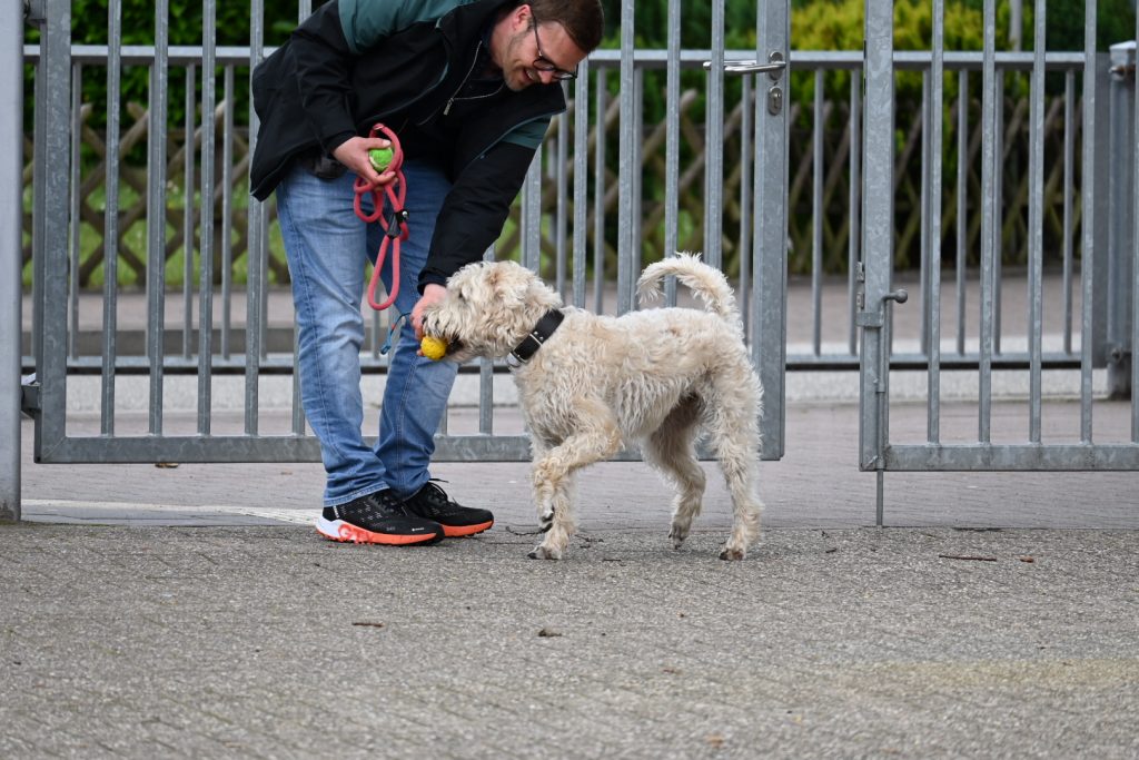 Stefan Kannenbrock-Körner mit Schulhund Rudi auf dem Schulhof
