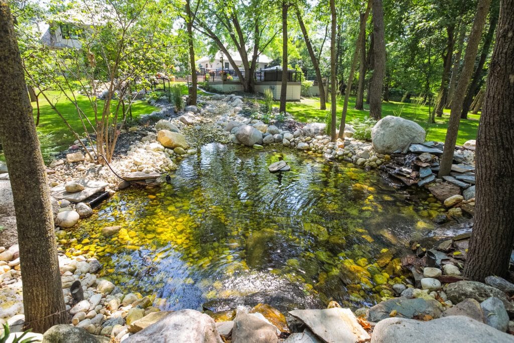 Backyard pond and water feature with natural stones, plants, and flowing water.