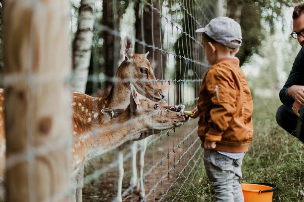 riyadh zoo