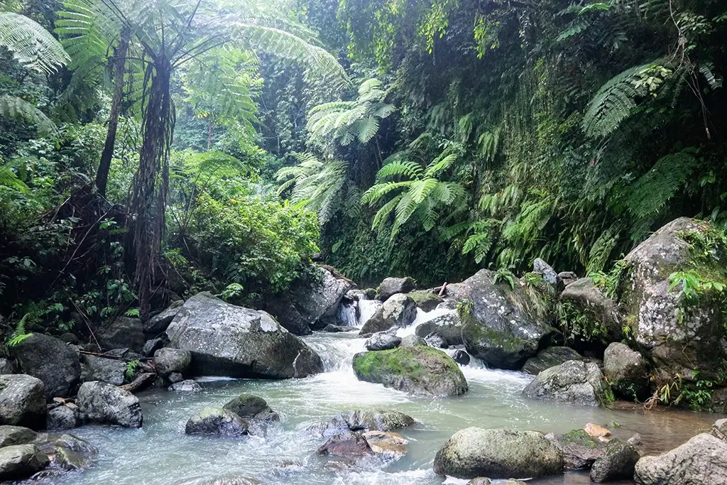 A picture of the moving water downstream from the falls
