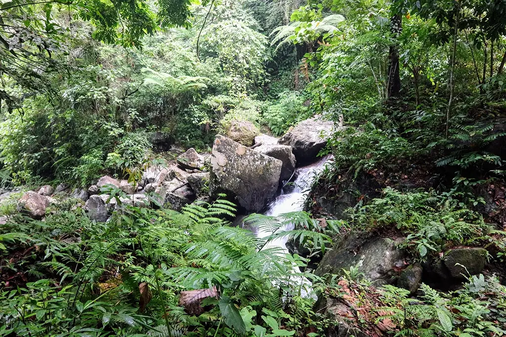More of the surrounding area downriver from the Casaroro Falls.