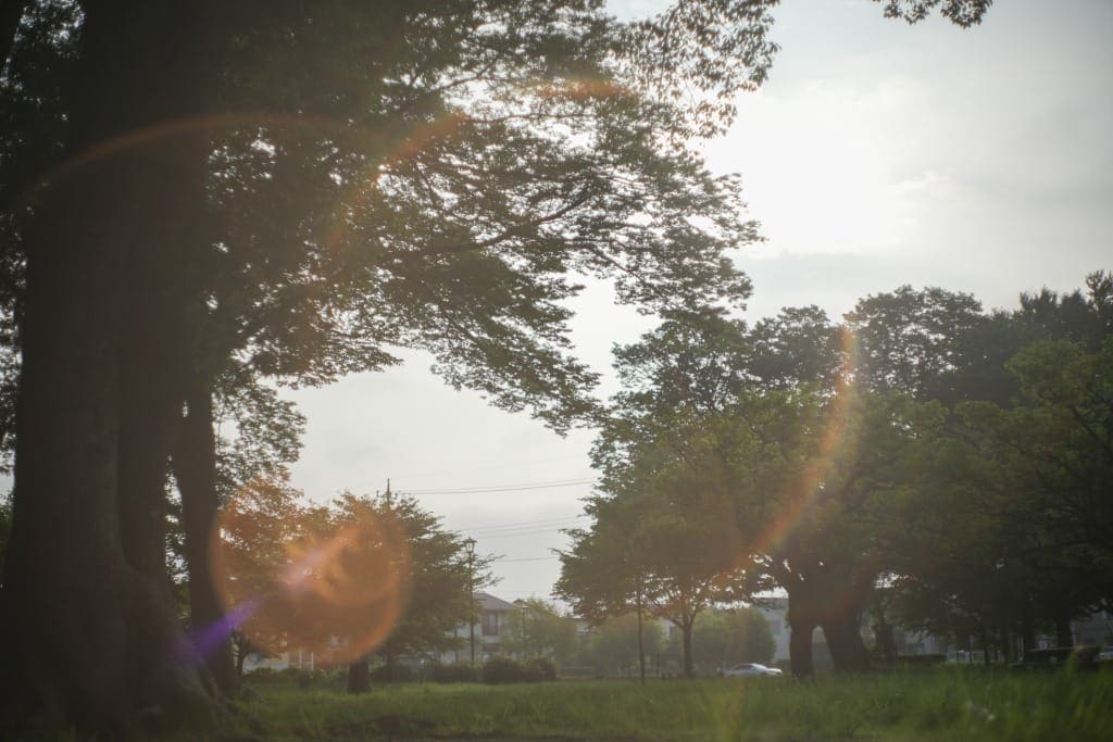 Ricoh Auto Rikenon 50mm f1.7 Review作例 M42マウント富岡光学製