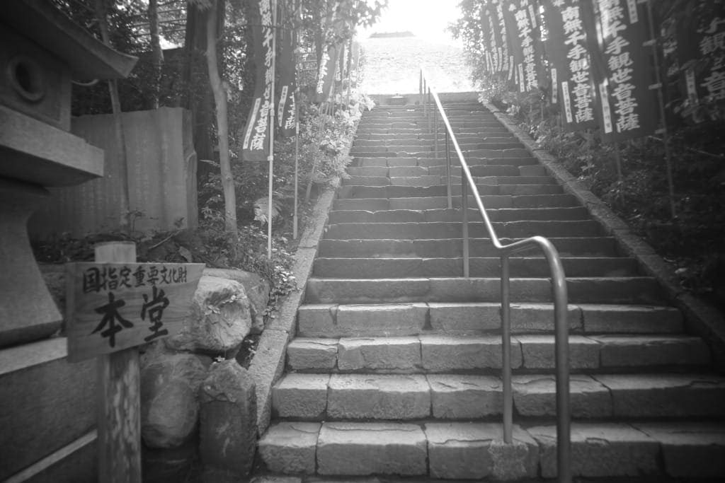 Zeiss Ikon Biogon 21mm f4.5 Contarex Review作例 超広角銘玉神