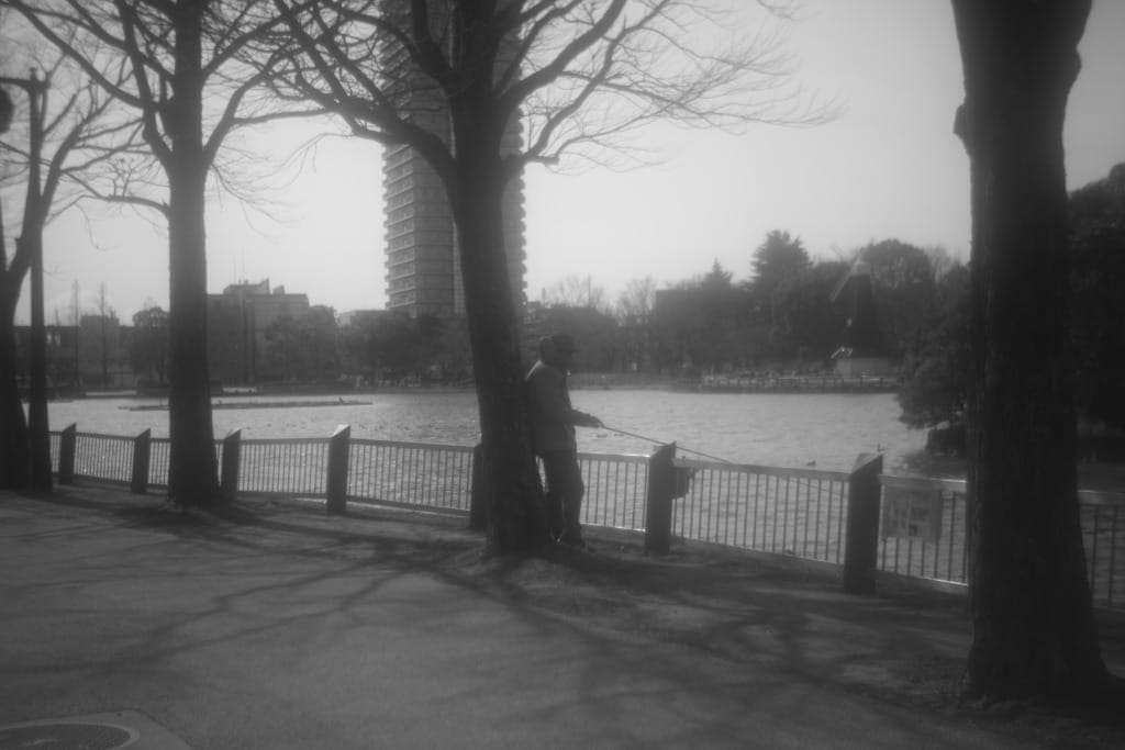 Som Berthiot 50mm f2.8 L改 Review作例 シネマオールドレンズ