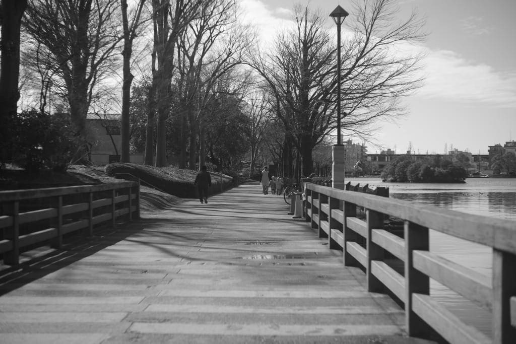 Leitz Elmar 50mm f3.5 作例 ニッケル全回転4番ロング ライカLマウントオールドレンズ