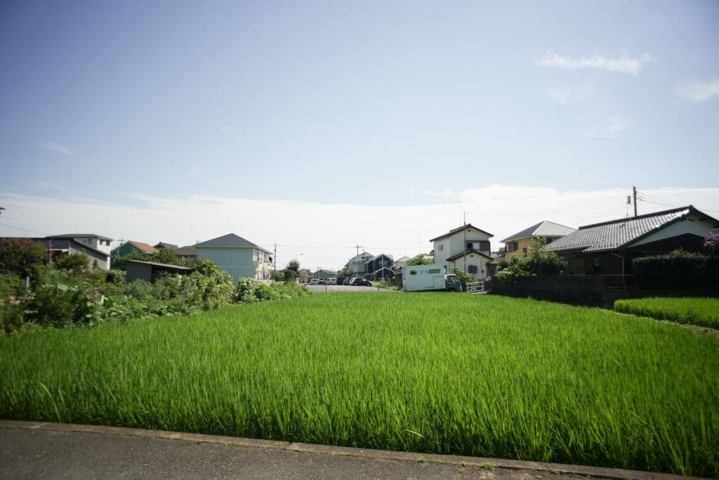 オールドレンズ超広角20mm-21mmおすすめ4本 神オールドレンズ銘玉