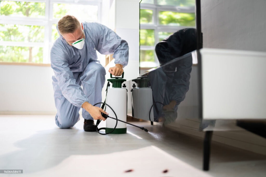مكافحة الحشرات ورش المبيدات داخل المنازل والشركات باستخدام مواد آمنة وفعالة