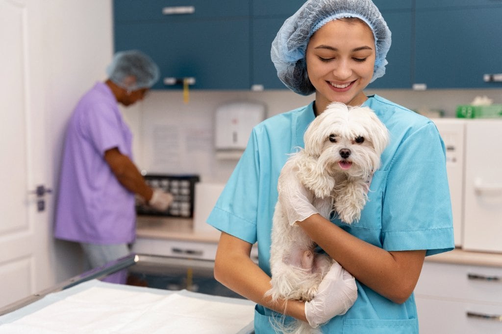 Where Pets Rule & Tails Wag | Pet Community