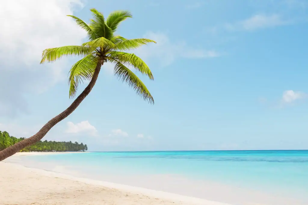 el caribe mexicano y su arena finamente blanca