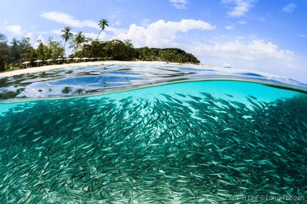 Discovering the Best Islands in Terengganu: Your Ultimate Guide 13 Lang Tengah Island, Best Islands in Terengganu
