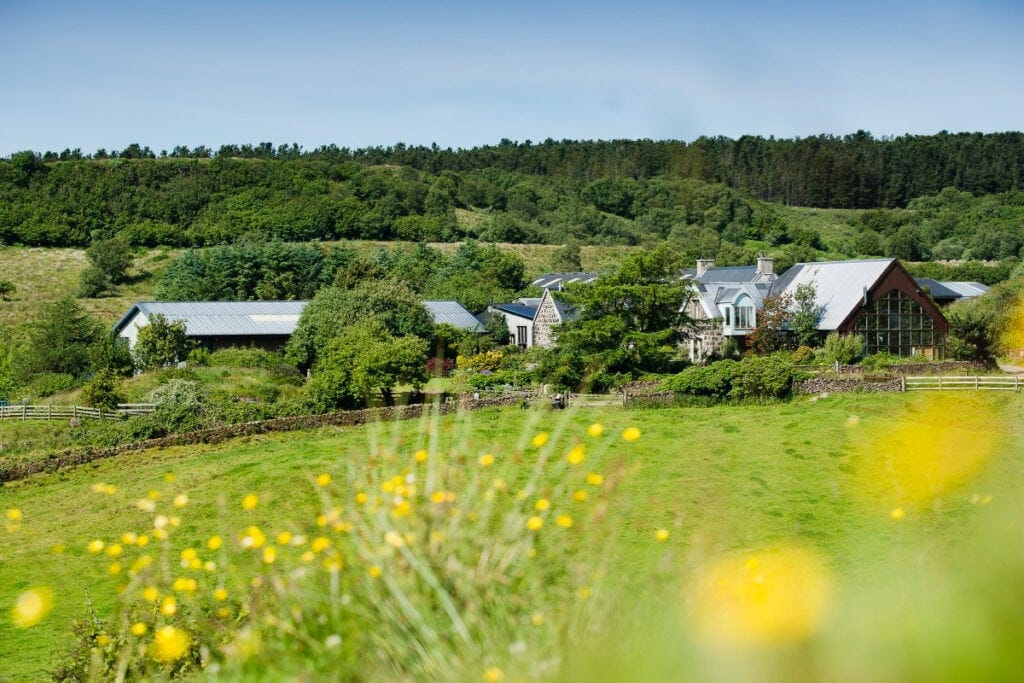 Isle of Mull Cheese Farm on a sunny day