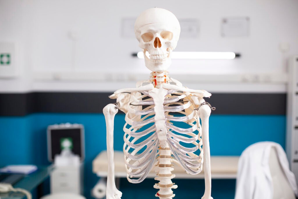 Orthopaedics Specialists