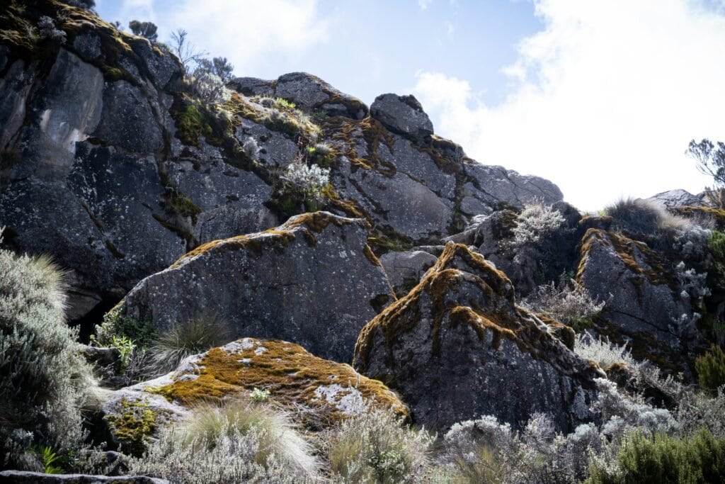 Mount Elgon National Park