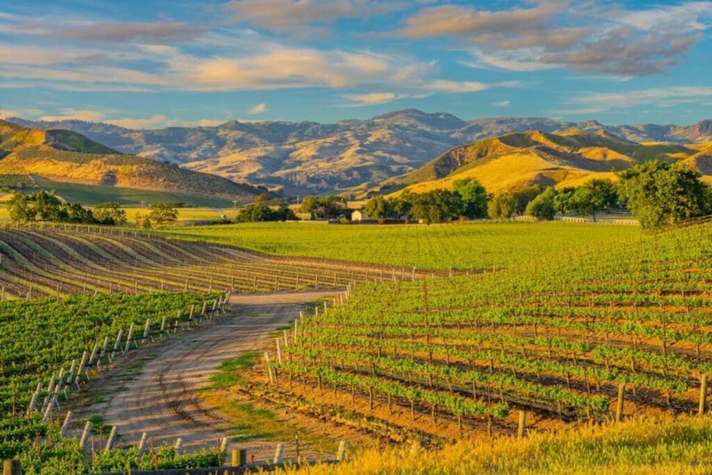 Springtime in the Santa Ynez Valley