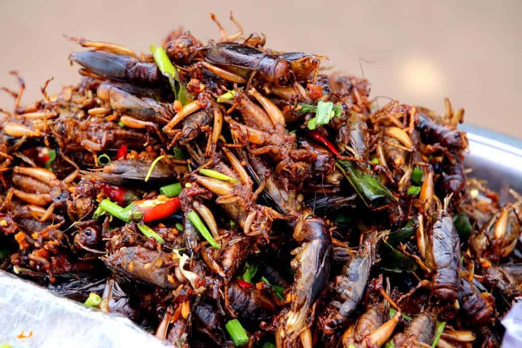 Cockroaches all over some food.