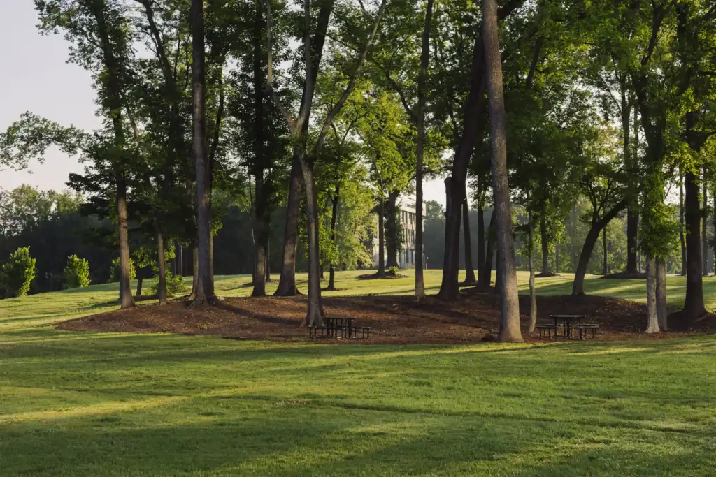 Lush green corporate campus featuring mature trees, open grassy lawns, and shaded picnic tables in warm morning sunlight.