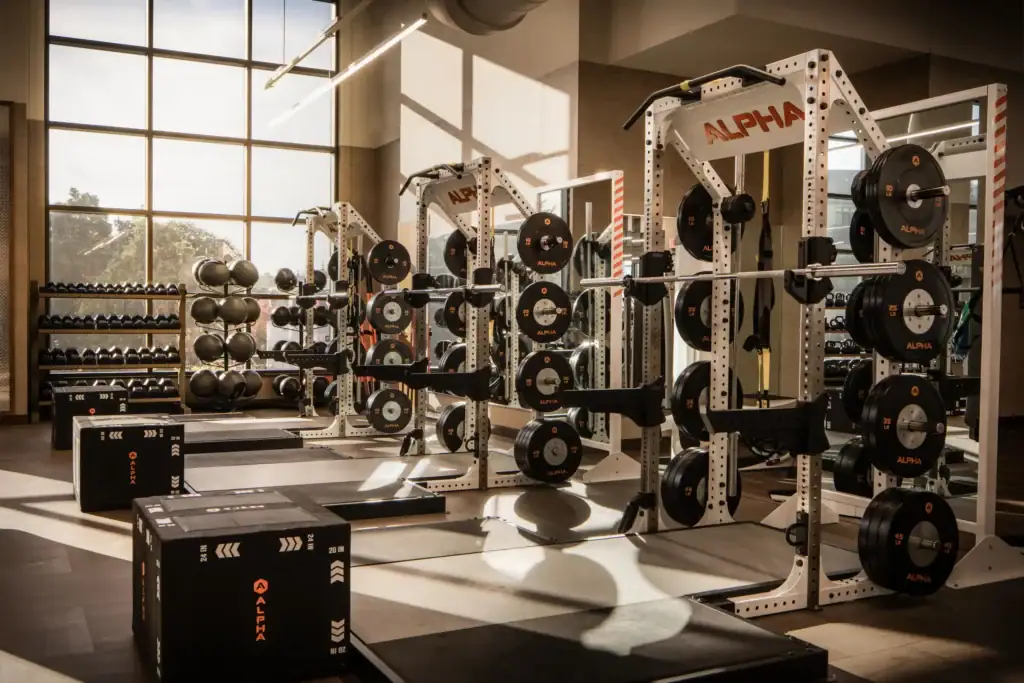 Modern Raleigh apartment gym featuring power racks, Olympic barbells, weight plates, plyometric boxes, dumbbells, and functional fitness equipment in a bright, spacious workout area.