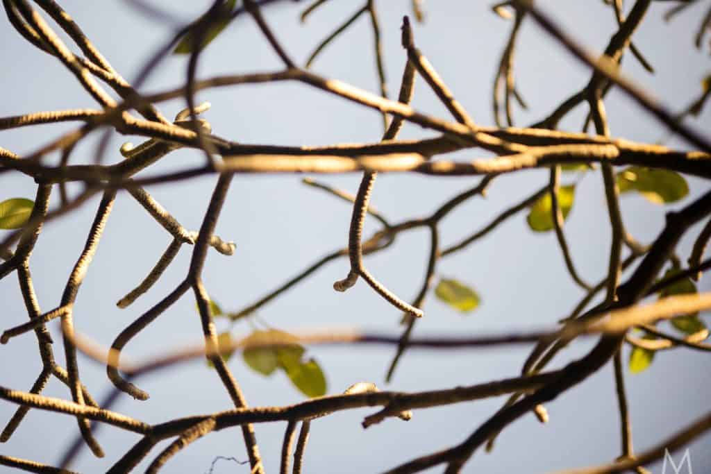 14753716_10153742409271599_1211634590098845088_o