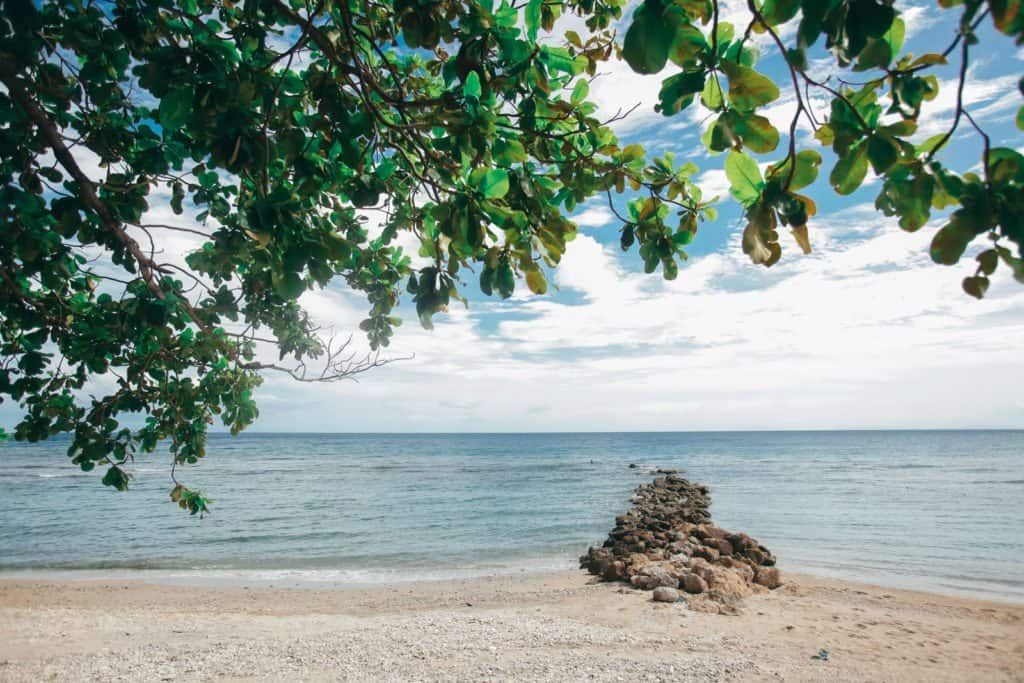 Dream Proposal, Moki Gray, Paper Project