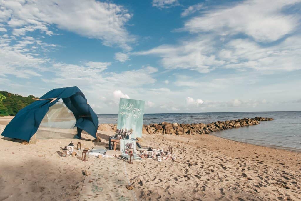 Dream Proposal, Moki Gray, Paper Project