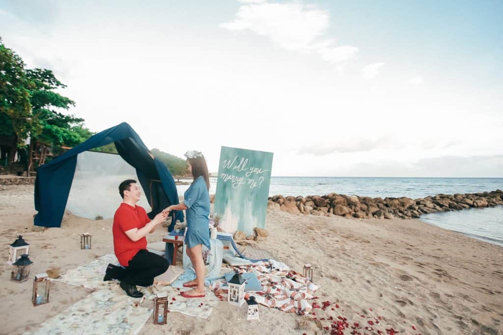 Dream Proposal, Moki Gray, Paper Project