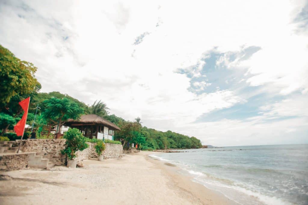 Dream Proposal, Moki Gray, Paper Project