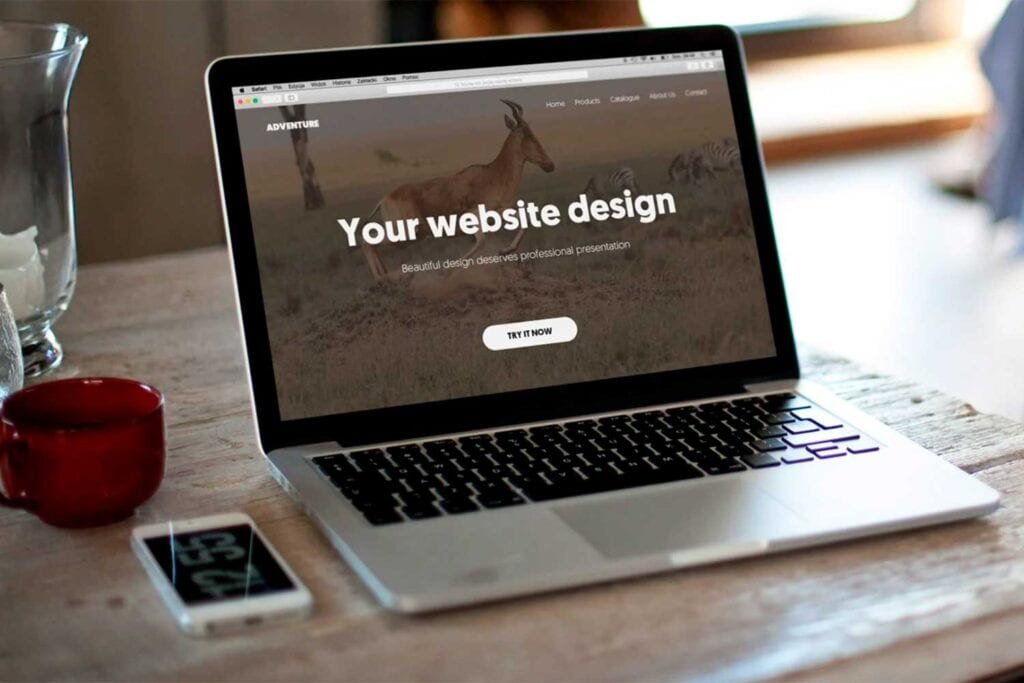 Custom Web Development