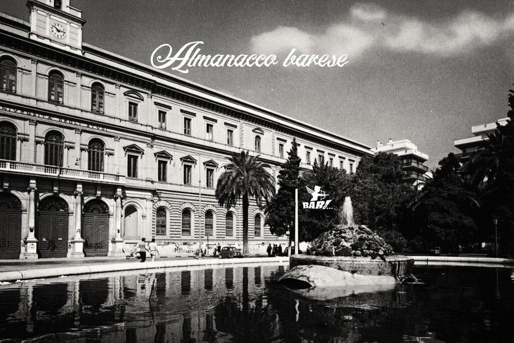 università