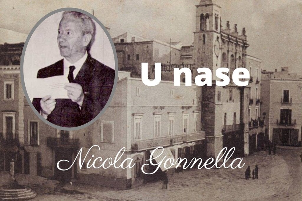 Nicola Gonnella - Il naso