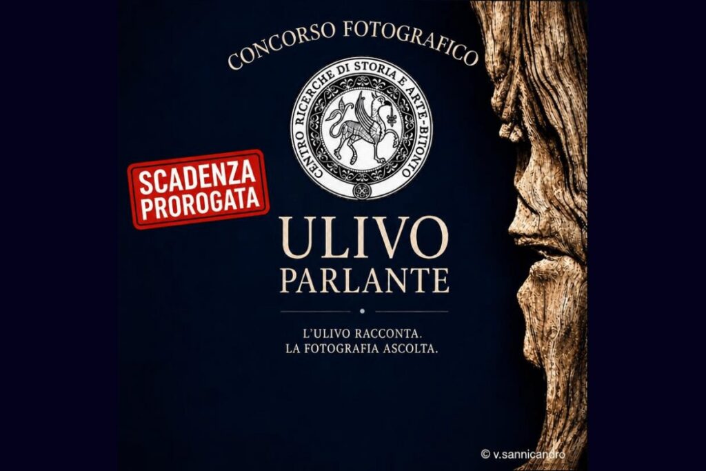 Concorso fotografico