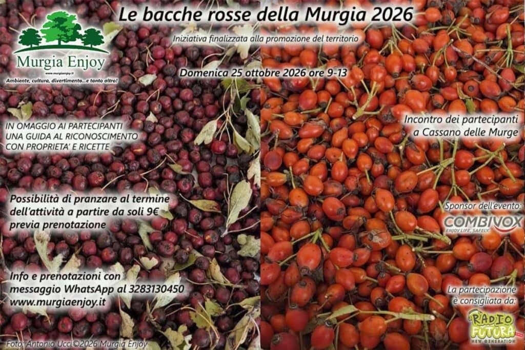 Uscita Murgia Enjoy