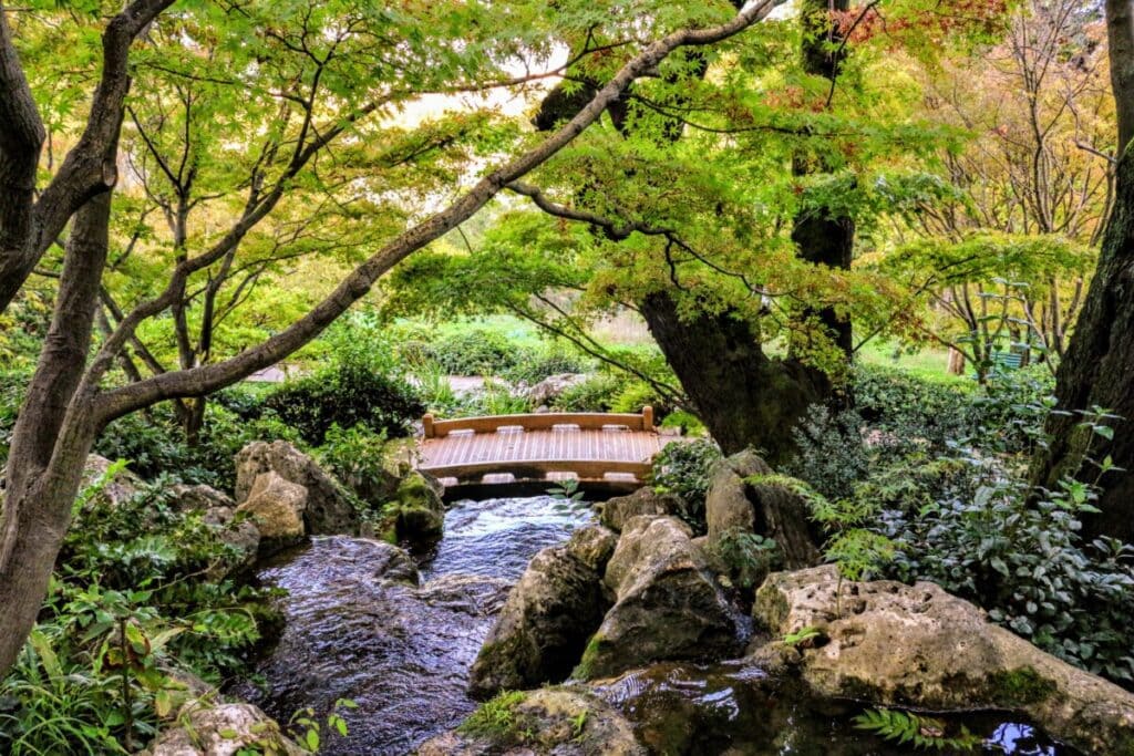 Trai parchi di Roma anche l'Orto Botanico