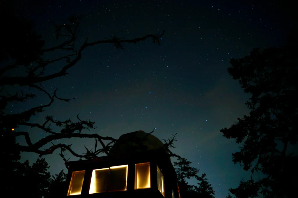 Dormire in una casa sull’albero di notte come esperienza da regalare